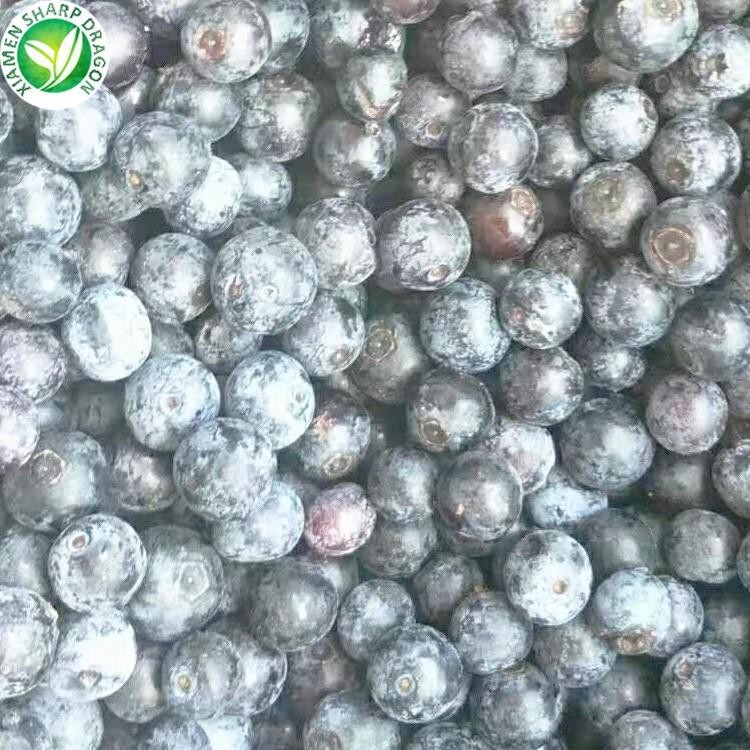 Close view of frosty frozen blueberries