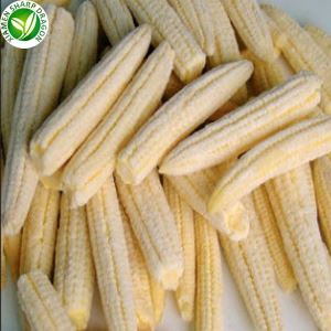 Cần bán bắp non đông lạnh