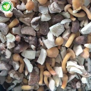 Nấm hỗn hợp đông lạnh