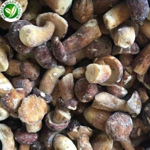 Giá Nấm Porcini