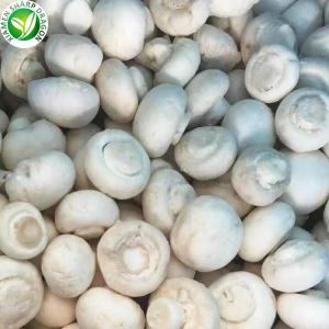 Dinh dưỡng nấm trắng