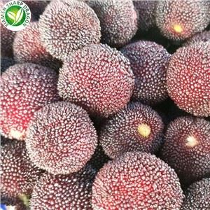 Quả Bayberry