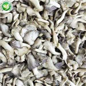 Bệnh Pleurotus Ostreatus