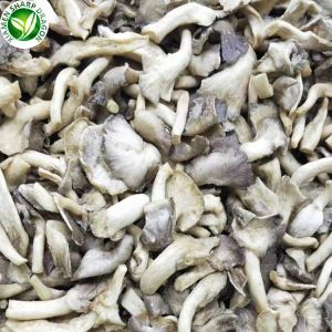 Chân không chiên nấm crisps bán