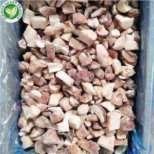 Nấm Porcini cây trồng mới