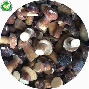 Giá của nấm Porcini ngon
