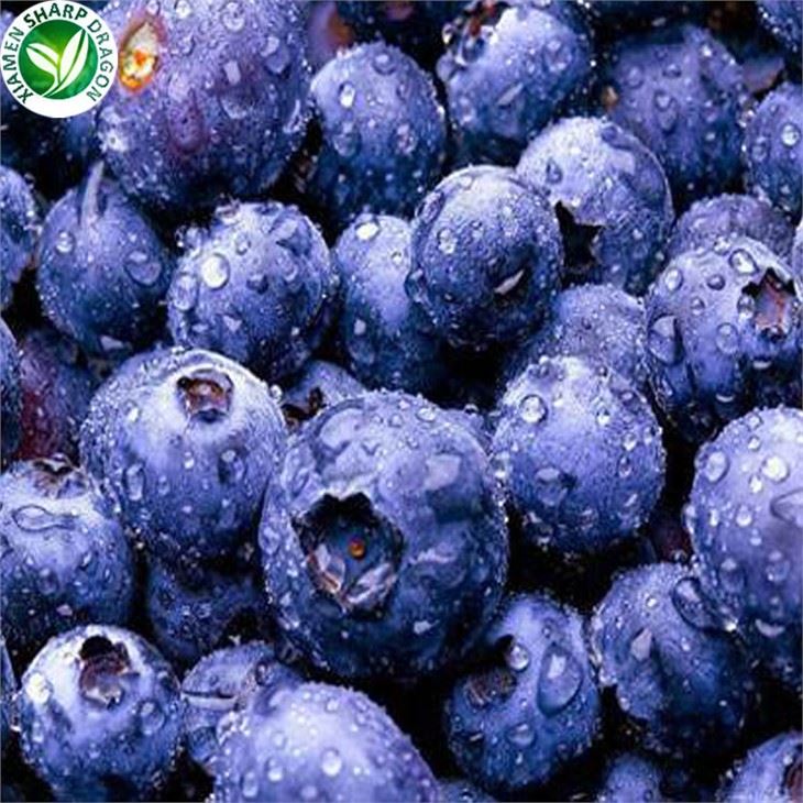 IQF Frozen Blueberries 12–16 mm in 10 kg Bulk Cartons