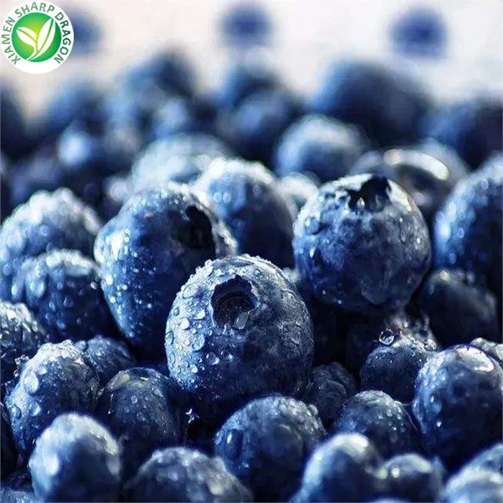 IQF Frozen Blueberries 12–16 mm in 10 kg Bulk Cartons