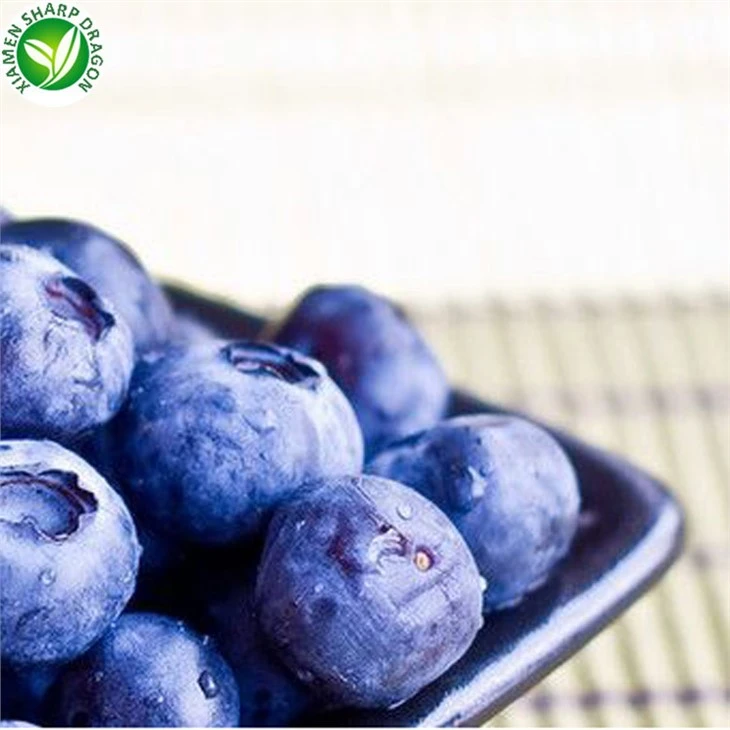 IQF Frozen Blueberries 12–16 mm in 10 kg Bulk Cartons